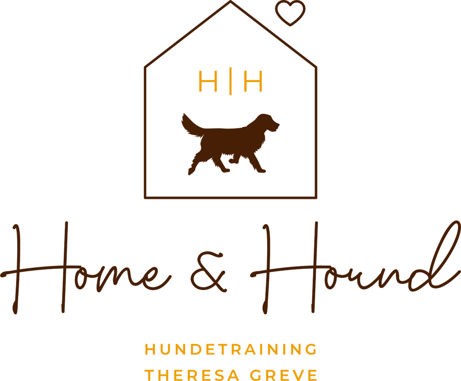 Hundeschule Tittau Kuddewörde Hundetraining